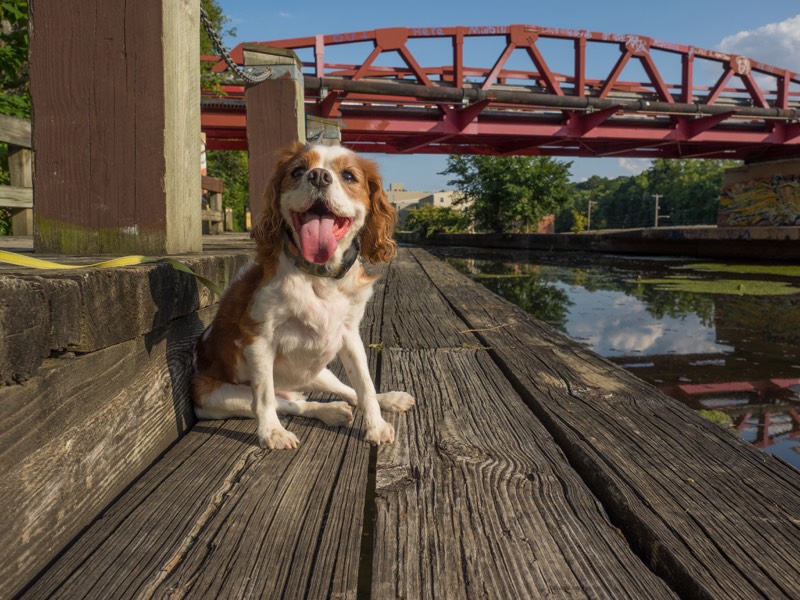 Chip relaxing