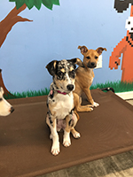 Daycare fun