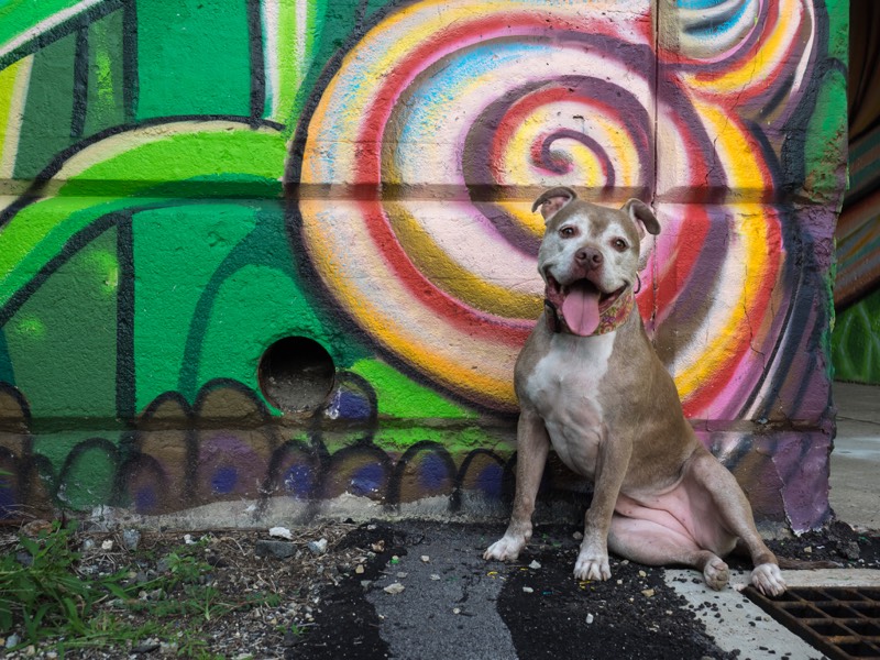 Penny at daycare