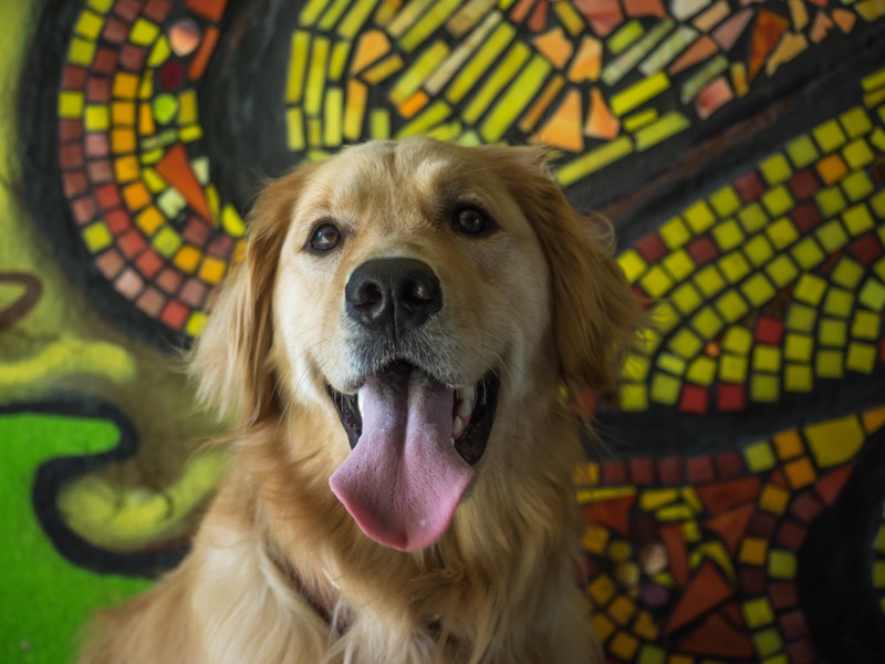 Scarlet at daycare